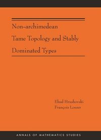 Produktbild: Non-Archimedean Tame Topology and Stably Dominated Types (AM-192)