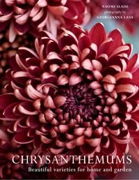 Produktbild: Chrysanthemums Hb
