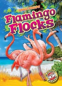 Produktbild: Flamingo Flocks