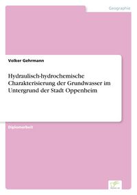 Produktbild: Hydraulisch-hydrochemische Charakterisierung der Grundwasser im Untergrund der Stadt Oppenheim