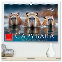 Produktbild: Capybara - die Ruhe als Lebensform (hochwertiger Premium Wandkalender 2027 DIN A2 quer), Kunstdruck in Hochglanz