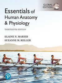 Produktbild: Essentials of Human Anatomy & Physiology, Global Edition
