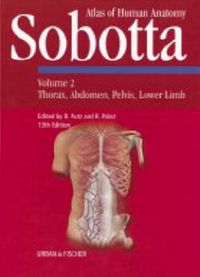 Produktbild: Sobotta Atlas Of Human Anatomy vol 2