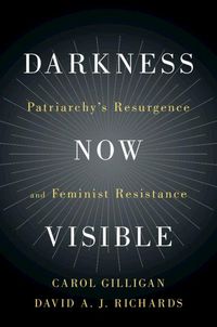 Produktbild: Darkness Now Visible