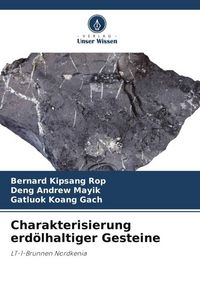 Produktbild: Charakterisierung erd&ouml;lhaltiger Gesteine