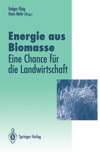 Produktbild: Energie aus Biomasse