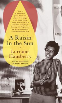 Bild vom Artikel A Raisin in the Sun vom Autor Lorraine Hansberry