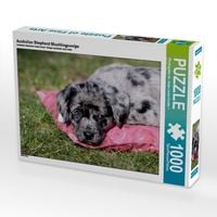 Produktbild: CALVENDO Puzzle Australian Shepherd Mischlingswelpe | 1000 Teile Lege-Gr&ouml;&szlig;e 64x48cm Foto-Puzzle f&uuml;r gl&uuml;ckliche Stunden