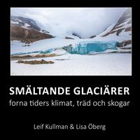 Produktbild: Sm&auml;ltande glaci&auml;rer