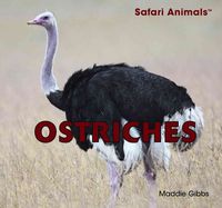 Produktbild: Ostriches