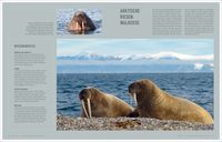 Bildbände/illustrierte Bücher Gigantisch