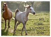 Produktbild: Pferdekalender (Wandkalender 2026 DIN A3 quer), CALVENDO Monatskalender