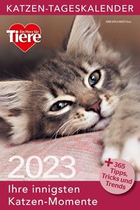 Bild vom Artikel Katzen Tageskalender 2023 vom Autor 