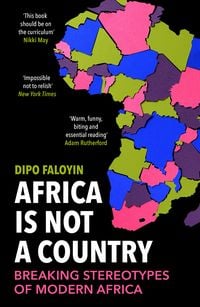 Bild vom Artikel Africa Is Not A Country vom Autor Dipo Faloyin