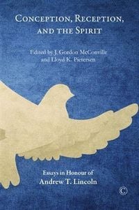 Produktbild: Conception, Reception, and the Spirit