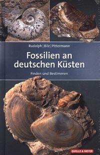 Bild vom Artikel Fossilien an deutschen Küsten vom Autor Frank Rudolph
