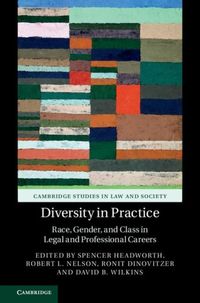 Produktbild: Diversity in Practice