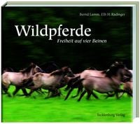 Produktbild: D&uuml;lmener Wildpferde