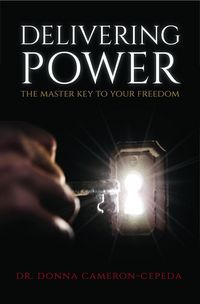 Produktbild: Delivering Power
