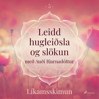 Produktbild: Leidd huglei&eth;sla og sl&ouml;kun - L&iacute;kamsskimun