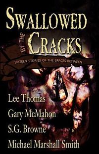Produktbild: Swallowed By The Cracks