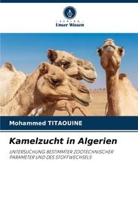 Produktbild: Kamelzucht in Algerien