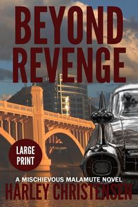 Produktbild: Beyond Revenge