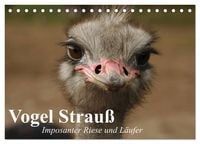 Produktbild: Vogel Strau&szlig;. Imposanter Riese und L&auml;ufer (Tischkalender 2026 DIN A5 quer), CALVENDO Monatskalender