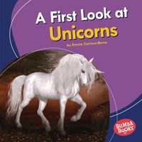 Produktbild: A First Look at Unicorns