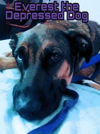 Produktbild: Everest the Depressed Dog
