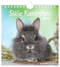Produktbild: S&uuml;&szlig;e Kaninchen 2027