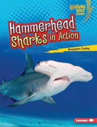 Produktbild: Hammerhead Sharks in Action
