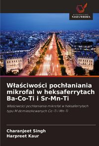 Produktbild: W&iquest;a&iquest;ciwo&iquest;ci poch&iquest;aniania mikrofal w heksaferrytach Ba-Co-Ti i Sr-Mn-Ti