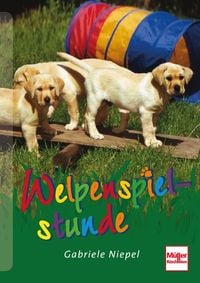 Produktbild: Welpenspielstunde