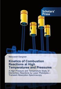 Produktbild: Kinetics of Combustion Reactions at High Temperatures and Pressures