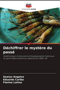 Produktbild: D&eacute;chiffrer le myst&egrave;re du pass&eacute;