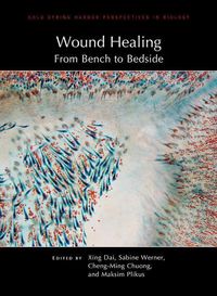 Produktbild: Wound Healing: From Bench to Bedside