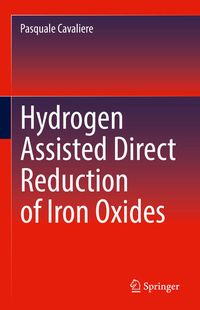 Produktbild: Hydrogen Assisted Direct Reduction of Iron Oxides