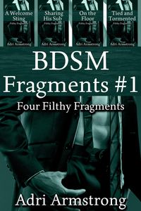 Produktbild: BDSM Fragments #1 (Filthy Fragments, #6)