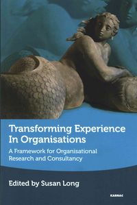 Produktbild: Transforming Experience in Organisations