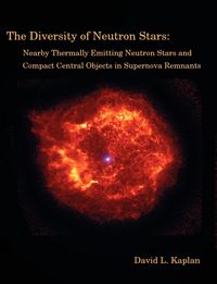 Produktbild: The Diversity of Neutron Stars