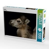 Produktbild: CALVENDO Puzzle Kamel 1000 Teile Puzzle quer | 1000 Teile Lege-Gr&ouml;&szlig;e 64 &times; 48 cm Foto-Puzzle f&uuml;r gl&uuml;ckliche Stunden