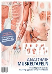 Produktbild: Anatomie-Muskeltafeln