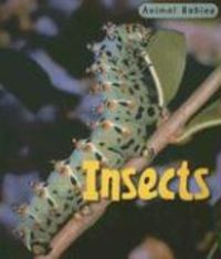 Produktbild: Insects