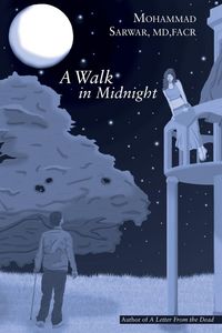 Produktbild: A Walk in Midnight