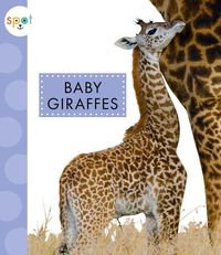 Produktbild: Baby Giraffes