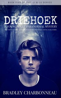 Produktbild: Driehoek (Lu & Lu, #5)