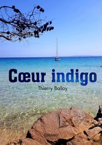 Produktbild: Coeur indigo