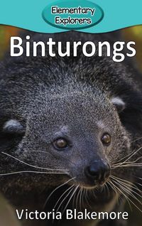 Produktbild: Binturongs