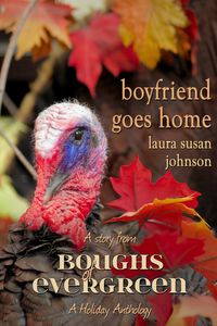 Produktbild: Boyfriend Goes Home (The House on Glass Beach, #4)
